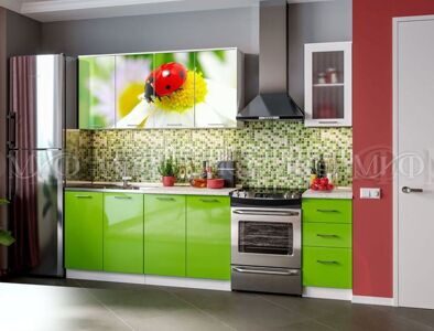 Кухни с фотопечатью на фасадах купить недорого в Мебелин 7